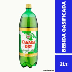 Bebida Ginger Ale 2Lt