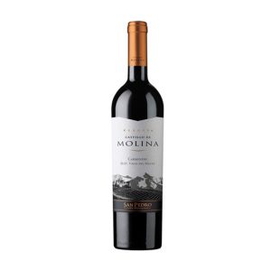 Vino Castillo Molina Carmenere 750cc