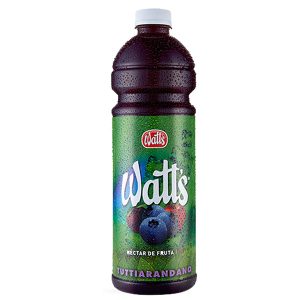 Nectar Watts Arandano Pet 1,5Lt