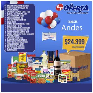 Canasta Andes