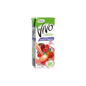 Nectar Vivo Berries 190 Ml