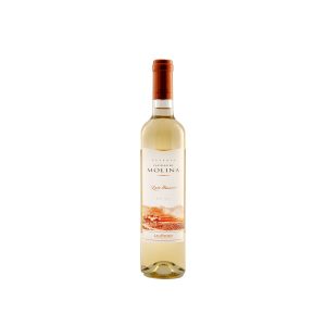 Vino Castillo Molina Late Harvest 500cc