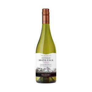 Vino Castillo Molina Sauvignon Blanc 750cc