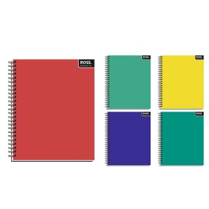 Cuaderno Universitario Ross Color Surtido 100 Hojas