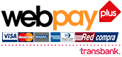 logo-web-pay-plus-footer-v2